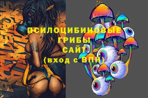 спайс Белокуриха